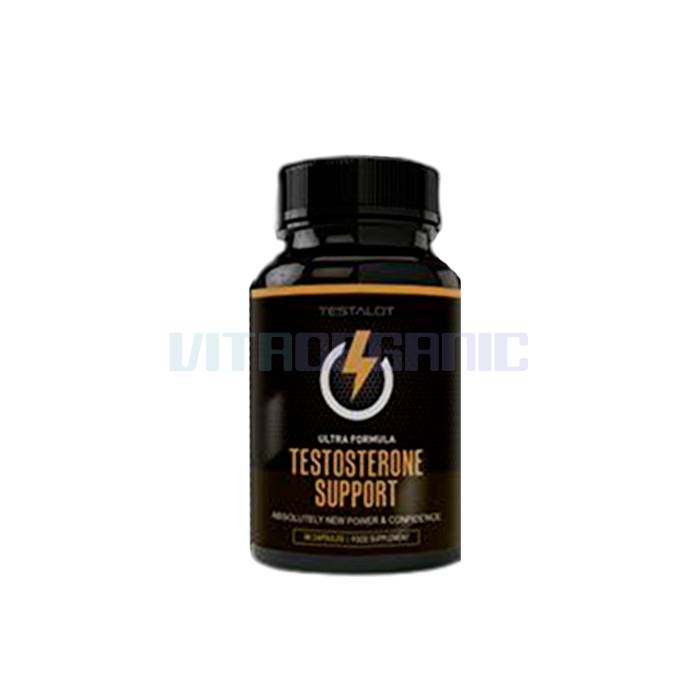 Testosterone Support ‣ constructeur de muscle