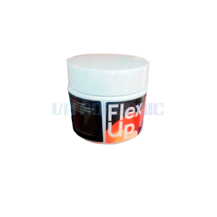 Flex Up ‣ joint health product