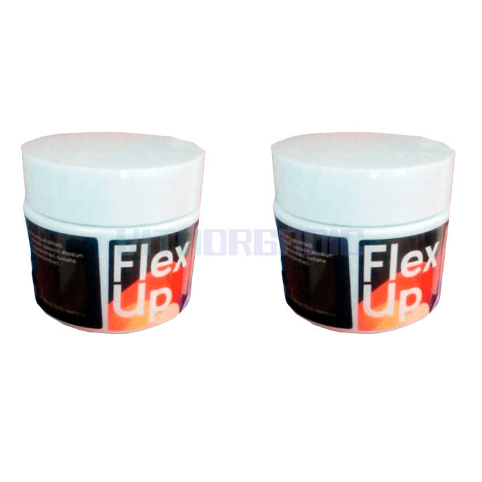 Flex Up ‣ joint health product